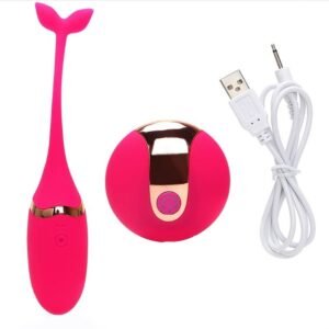 Remote Controlled Vibrator